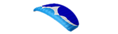Ozone Speed Wing Picture